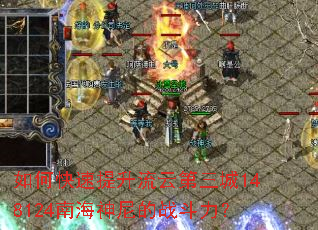 如何快速提升流云第三城148124南海神尼的战斗力? 如何快速提升流云第三城148124南海神尼的战斗力?