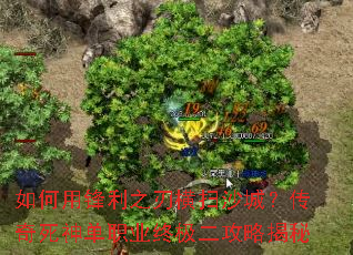 ����÷���֮�к�ɨɳ�ǣ���������ְҵ�ռ������Խ���