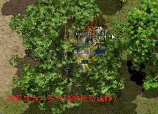 如何成为斗罗大陆的传奇魂师? 如何成为斗罗大陆的传奇魂师?