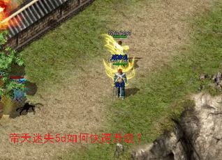 ������ʧ5d��ο���������