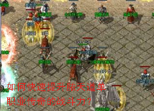 ��ο�������ŧ�����ְҵ�����ս������