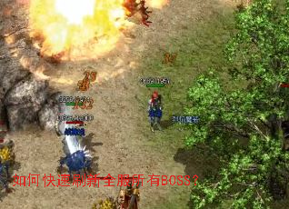 ��ο���ˢ��ȫ������BOSS��