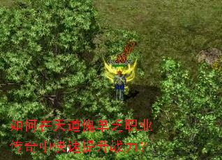 ��������������ְҵ�����п�������ս����