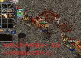 ��γ�Ϊ�����������սɳ����ʤ�ؾ���ʲô��