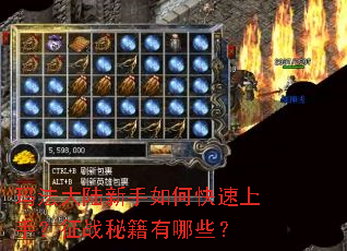 �귨��½������ο������֣���ս�ؼ�����Щ��