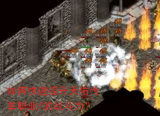 ��ο����������Ӵ���ְҵf��ս������