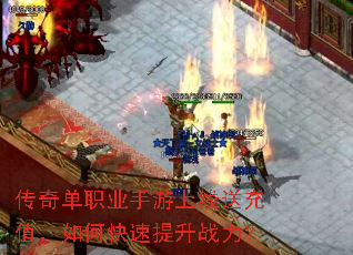 ���浥ְҵ���������ͳ�ֵ����ο�������ս����