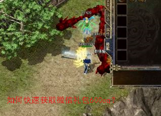 ��ο��ٻ�ȡ΢�����600cq��