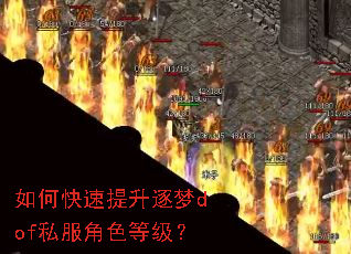 ��ο�����������dof˽����ɫ�ȼ���