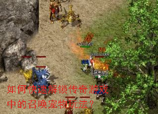 ��ο��ٽ���������Ϸ�е��ٻ������淨��