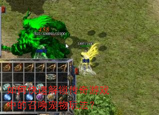 ��ο��ٽ���������Ϸ�е��ٻ������淨��