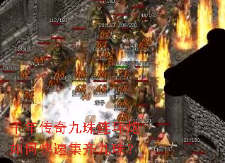 ǧ�괫�������������ο��ټ�����飿