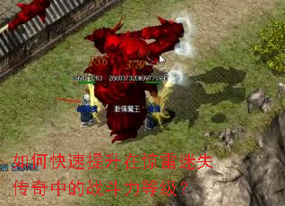 ��ο��������ھ�����ʧ�����е�ս�����ȼ���