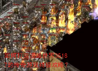 ��δ�����������35187�Ĵ�����Ϸ�ռ����ԣ�