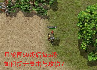 ���ֹ�50����ÿ5��������������빥�ˣ�