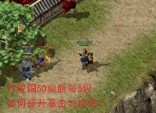 ���ֹ�50����ÿ5��������������빥�ˣ�