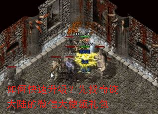 ��ο��������������漣��½��΢�Ŵ�ʹ�����