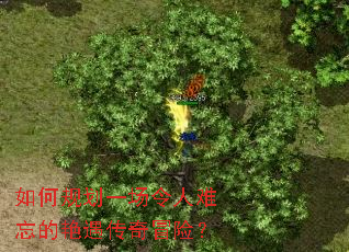 ��ι滮һ��������������������ð�գ�