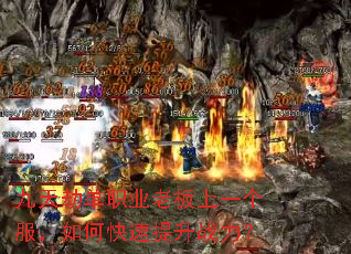 ����ٵ�ְҵ�ϰ���һ��������ο�������ս����