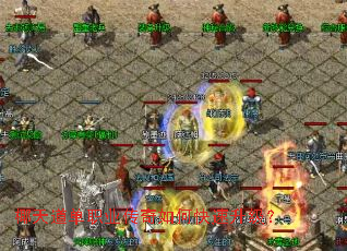 Ҭ�����ְҵ������ο���������