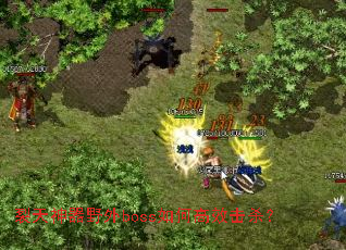 ��������Ұ��boss��θ�Ч��ɱ��