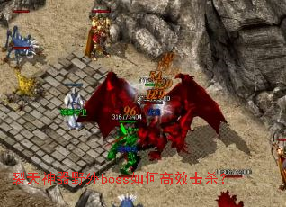 ��������Ұ��boss��θ�Ч��ɱ��