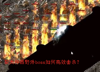 ��������Ұ��boss��θ�Ч��ɱ��