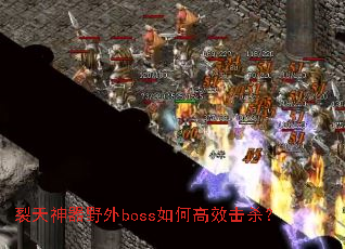 ��������Ұ��boss��θ�Ч��ɱ��