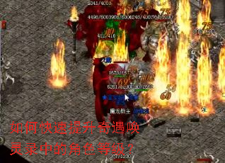 ��ο���������������¼�еĽ�ɫ�ȼ���