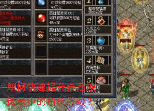 ��ο���������������¼�еĽ�ɫ�ȼ���