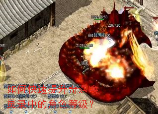 ��ο���������������¼�еĽ�ɫ�ȼ���