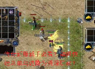 �����·����ֱؿ�����ο��ٴӲ������Ϊ������ң�