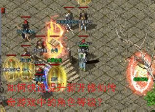 ��ο��������¿����ɴ�����Ϸ�еĽ�ɫ�ȼ���