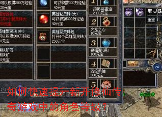 ��ο��������¿����ɴ�����Ϸ�еĽ�ɫ�ȼ���