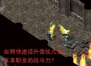 ��ο����������Ӿ����쵥ְҵ��ս������