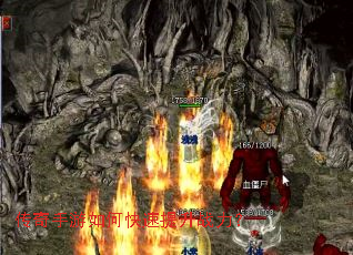 ����������ο�������ս����