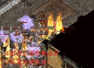 ������·�����ս���и�Ч�����ӵأ�