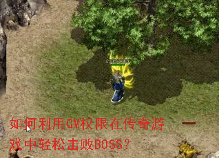 �������GMȨ���ڴ�����Ϸ�����ɻ���BOSS��