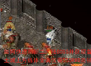 ��ο���ˢ�¶���½BOSS����ȡ�ױ���ɱ�������Ϸ�����ȫ������550RMB���̹��ԣ�