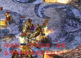 �ʵ����ģ������ػ�����ְҵ������ο�������ս����