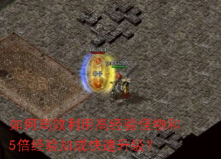 如何高效利用高经验怪物和5倍经验加成快速升级? 如何高效利用高经验怪物和5倍经验加成快速升级?