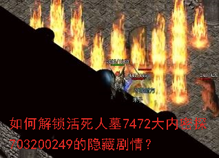 ��ν���������Ĺ7472������̽703200249�����ؾ��飿