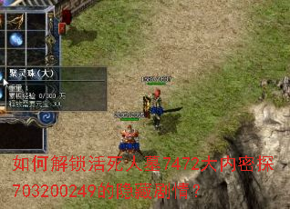 ��ν���������Ĺ7472������̽703200249�����ؾ��飿