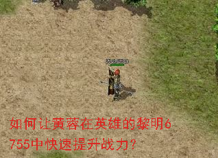 如何让黄蓉在英雄的黎明6755中快速提升战力? 如何让黄蓉在英雄的黎明6755中快速提升战力?