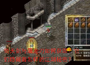 ���콣����������λ�ȡ�����������������Ľ������ܣ�