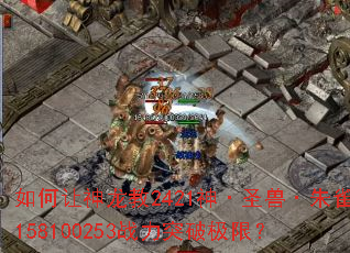 �����������2421��ʥ�ޡ���ȸ158100253ս��ͻ�Ƽ��ޣ�