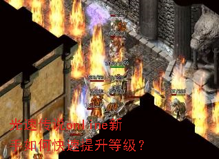 光速传说online新手如何快速提升等级? 光速传说online新手如何快速提升等级?