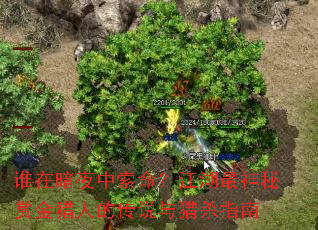 ˭�ڰ�ҹ�������������������ͽ����˵Ĵ�˵����ɱָ��