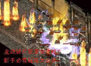 ������Ƭ��ȡȫ���ԣ����ֱؿ��ؼ��󹫿�
