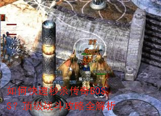 ��ο�����ɱ����BOSS������ս������ȫ����